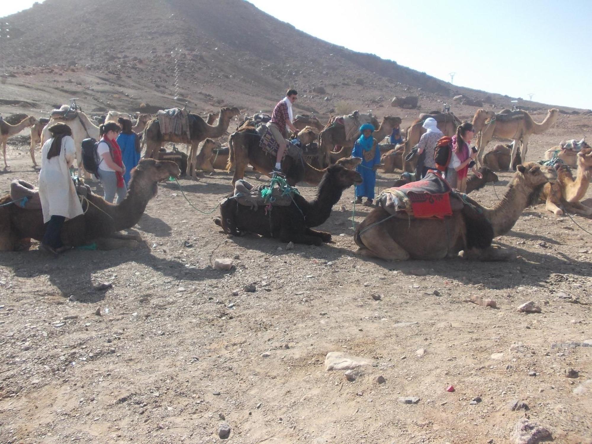 Hotel Bivouac Draa Zagora Esterno foto